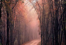 [网球]德约科维奇又创纪录了.